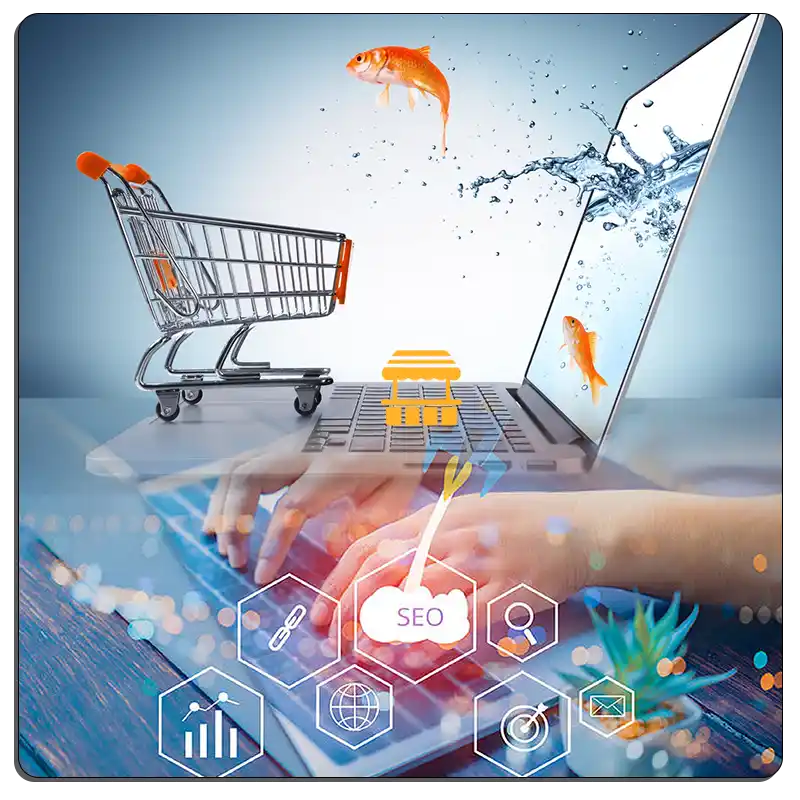 Diseño Páginas WEB